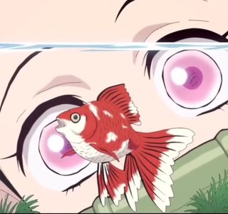 귀멸) 네즈코에게 금붕어 보여주는 젠이츠