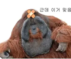 원피스) 소신발언 우타 별로 안이쁘지 않냐?