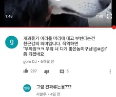 개과류가 머리를 부비는 건 친근의 의미입니다.jpg
