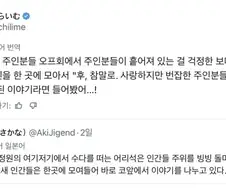 인간도 양처럼 몰이하는 보더콜리들