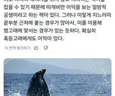 혹등고래:후후 범고래쉑 내 지느러미 맛이 어떠냐?