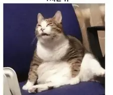 휴일에 낮잠 자면 안되는 이유.jpg