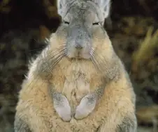 모오... 야다......