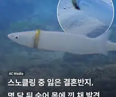(대충 골룸이 물고기 잡다 반지를 찾는다는 내용)