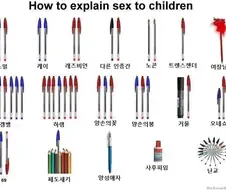 펜으로 배우는 성교육.jpg