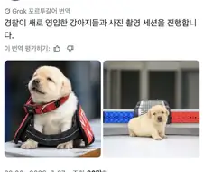새로 영입한 경찰견 사진 촬영
