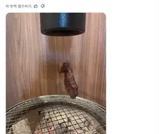 캐틀 뮤틸레이션(가축납치).jpg
