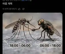 여름 계획.jpg