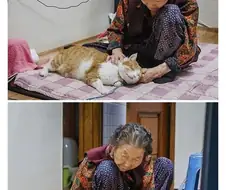 고양이 찐이와 할머니.jpg