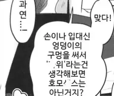 의외로 호모가 아닌 것
