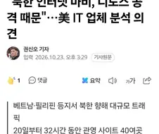 북한 대규모 디도스 공격 받았다