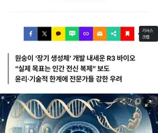 누구도 상처 받지 않는 현실판 아일랜드