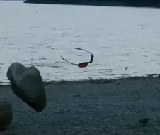 MCU)싸대장 만약 둠스데이에서도.