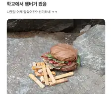 학교에서 햄버거 봤음.jpg