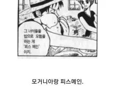 원피스) 작가는 이미 버린지 오래인데 팬덤에서 꾸준히 언급되는 설정.jp...