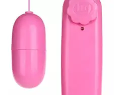 학교에 장난감을 가져오면 안됩니다