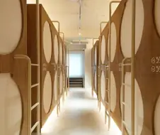 은근히 한국에도 꽤 생긴것