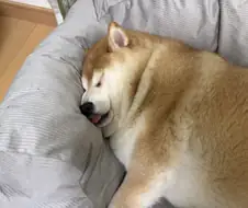 세상 행복한 모습.jpg