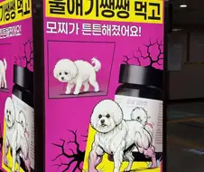 모찌가 튼튼해졌어요!