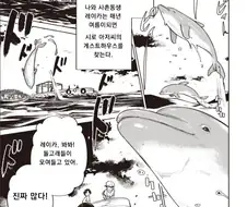 돌고래소녀