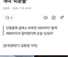 "더 빠질 줄 알았는데"…곱버스 개미 ＇피눈물＇