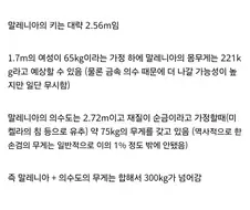 엘든링 말레니아가 그렇게 「존나」 강했던 이유