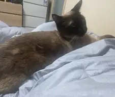 다리에 쥐가 나서 죽을 것 같아요. 살려주세요 ㅠㅠ