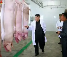 ???: 사진 한 가운데가 김정은 동지다