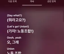가사 번역 참사.jpg