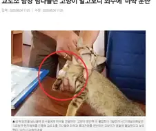 카짓이 배척 받는 이유.jpg