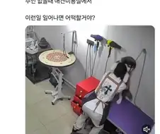 애견 미용실에서 벌어진 사건