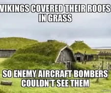 바이킹이 집 지붕을 풀로 덮은 이유