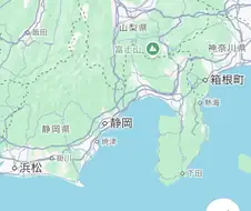 무리한 현지화의 결과
