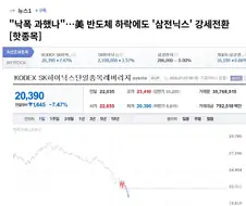 "낙폭 과했나"…美 반도체 하락에도 ＇삼전닉스＇ 강세전환
