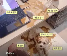 견주로서 제일 먼저 해야 할 일은?