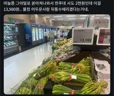 이마트 햇마늘쫑 13,980원