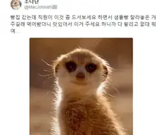 빵집 직원의 티배깅