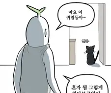 고양이가 보면 눈이 땡글땡글해지는 커지는 것!!!