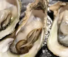 의외로 생굴로 노로바이러스 많이 걸리는 경로