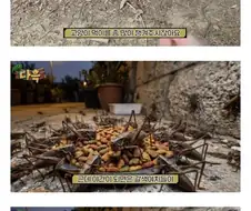 고양이를 제외하고 모두를 살리는 캣맘
