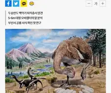 부산 다대포서 ‘1억 년 전 공룡알’ 화석
