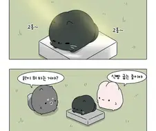 고양이 식빵을 굽는 .manhwa