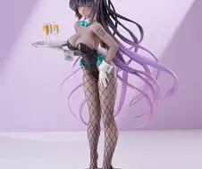 바니걸 피규어 별로 안좋아하는데..