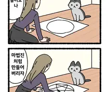 고양이가 좋아하는 원