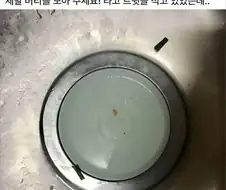 싱크대 배수구에 접시가 꽉 박혀서 안 빠져요! 도와주세요!.jpg