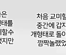 사랑하는 사람과의 첫 교미.manhwa
