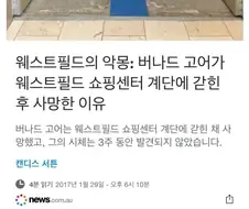 진짜 백룸에서 사망한 사건.jpg