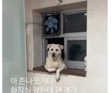 비현실적인 친구 인스타 스토리