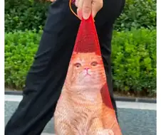 건물 청소부가 잡아준 집 나간 고양이.jpg