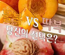 슬슬 편 가르기 나올 때 됐군